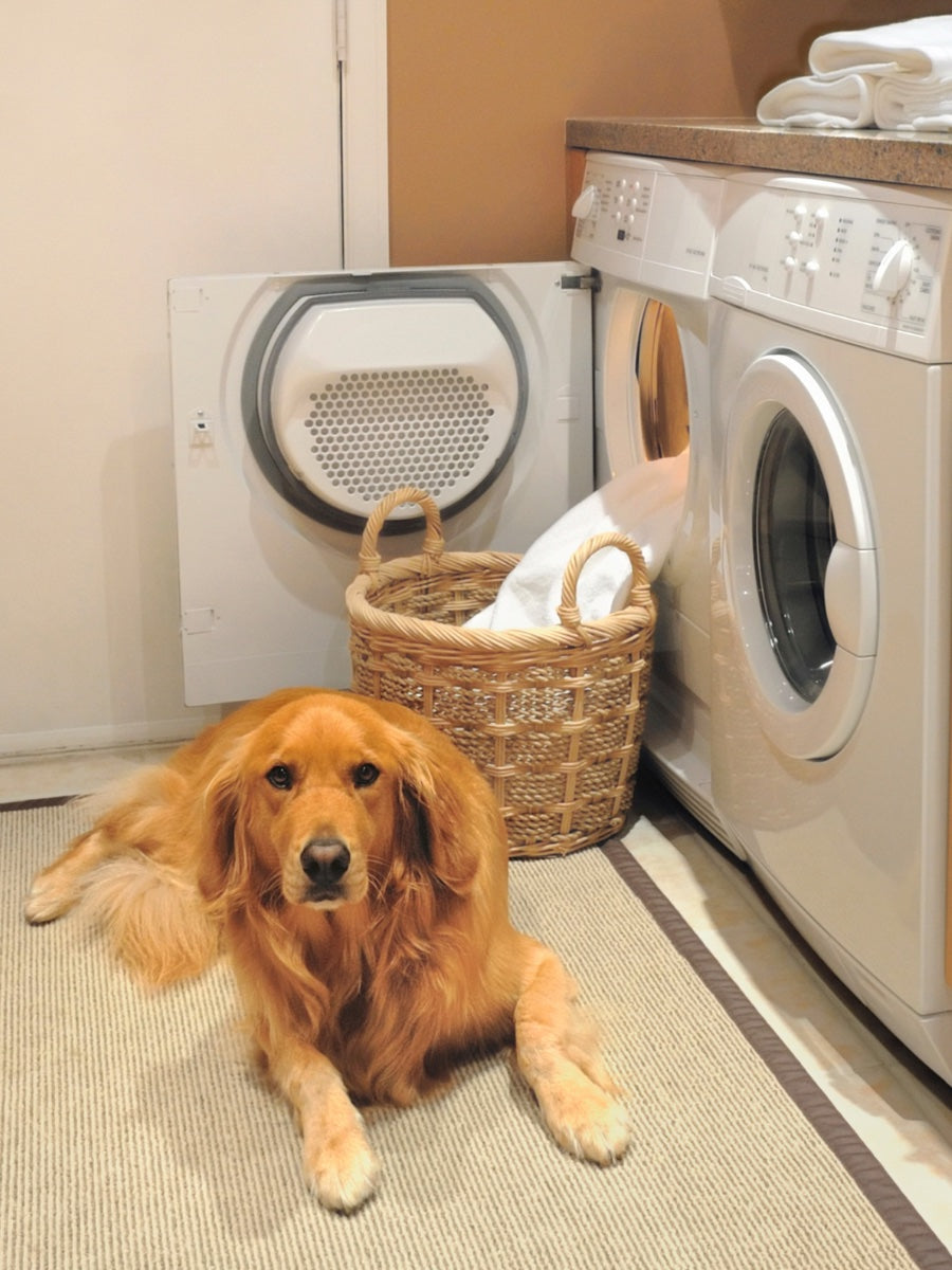 Our unscented detergent strips will leave your pet slightly baffled.